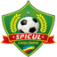 Футболен отбор Спикул