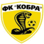 Футболен отбор Кобра Харков