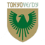 Футболен отбор Токио Верди