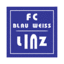 Футболен отбор БВ Линц