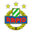Футболен отбор Рапид Виена II