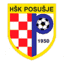 Футболен отбор Посуше