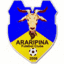 Футболен отбор Арарипина