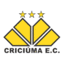 Футболен отбор Крисиума