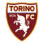 Футболен отбор Торино