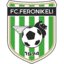 Футболен отбор Фероникели