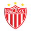 Футболен отбор Клуб Некакса