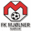 Футболен отбор Мьолнер