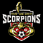 Футболен отбор СА Скорпионс