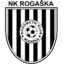 Футболен отбор Рогашка