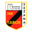 Футболен отбор Табор