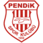 Футболен отбор Пендикспор